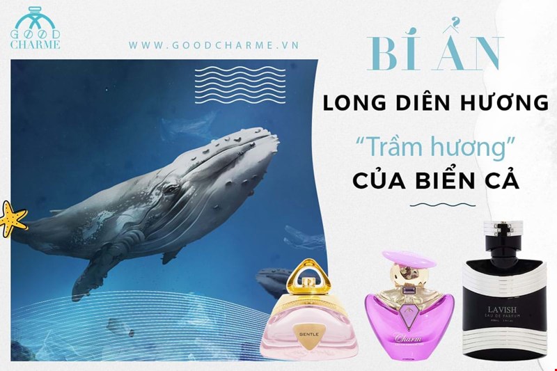 BÍ ẨN MÙI HƯƠNG ĐẮT ĐỎ TỪ LONG DIÊN HƯƠNG