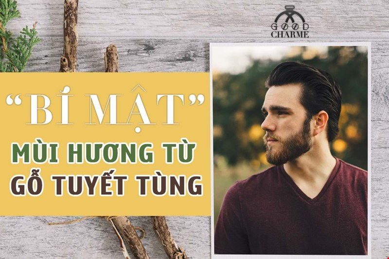 BÍ ẨN MÙI HƯƠNG TỪ GỖ TUYẾT TÙNG