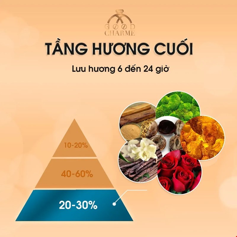 Sự Khác Biệt Giữa Các Tầng Hương Nước Hoa